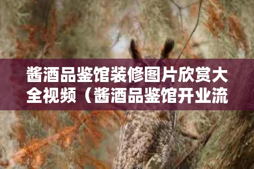 酱酒品鉴馆装修图片欣赏大全视频（酱酒品鉴馆开业流程）