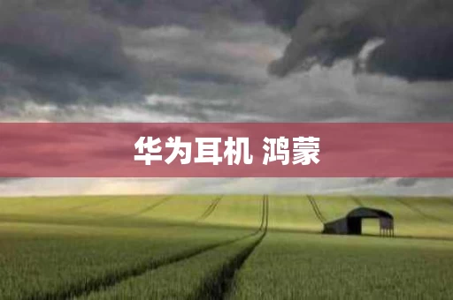 华为耳机 鸿蒙