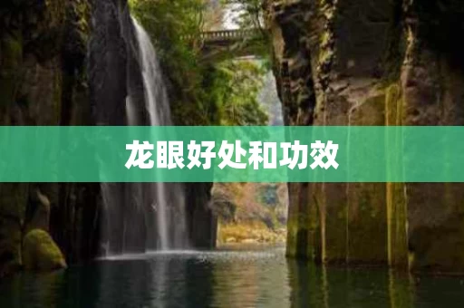 龙眼好处和功效