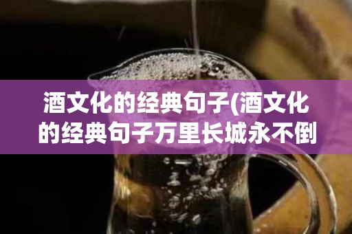 酒文化的经典句子(酒文化的经典句子万里长城永不倒)