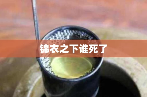 锦衣之下谁死了