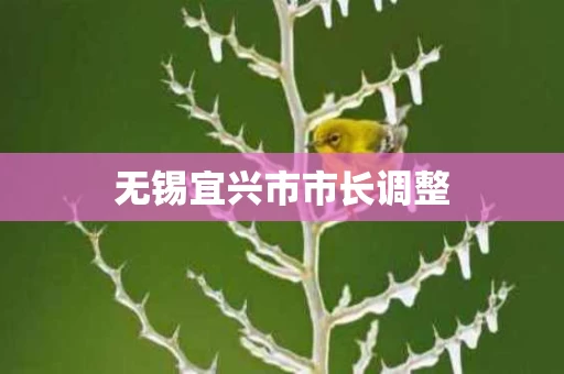 无锡宜兴市市长调整