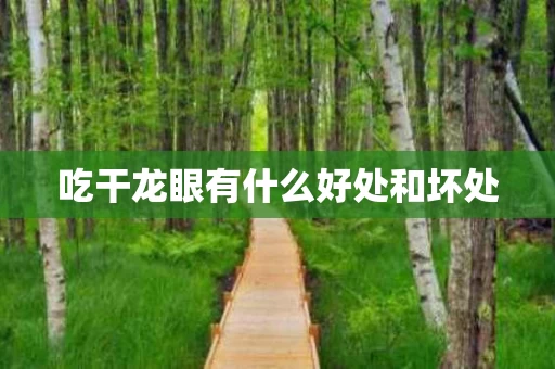 吃干龙眼有什么好处和坏处