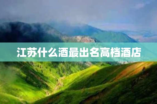 江苏什么酒最出名高档酒店
