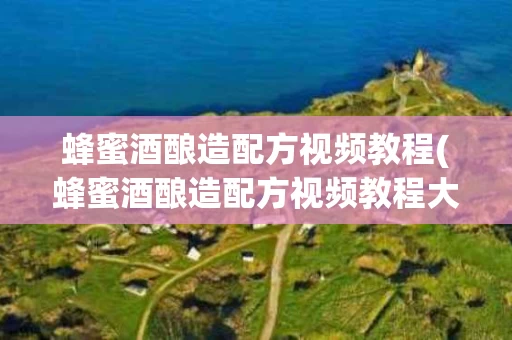 蜂蜜酒酿造配方视频教程(蜂蜜酒酿造配方视频教程大全)