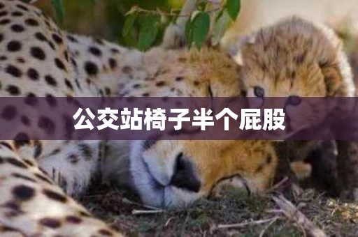 公交站椅子半个屁股