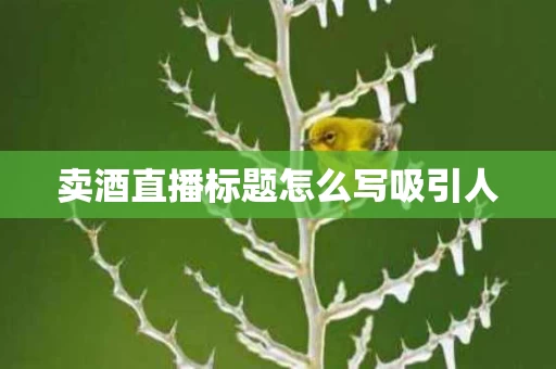 卖酒直播标题怎么写吸引人