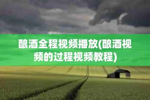 酿酒全程视频播放(酿酒视频的过程视频教程)