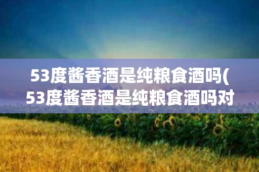 53度酱香酒是纯粮食酒吗(53度酱香酒是纯粮食酒吗对吗)