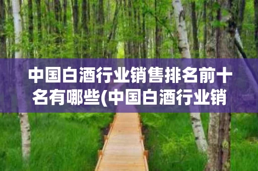 中国白酒行业销售排名前十名有哪些(中国白酒行业销售排名前十名有哪些企业)