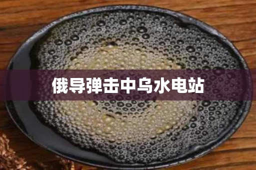 俄导弹击中乌水电站