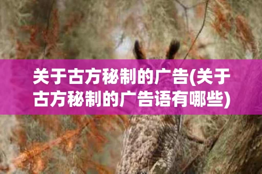 关于古方秘制的广告(关于古方秘制的广告语有哪些)