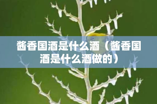 酱香国酒是什么酒（酱香国酒是什么酒做的）