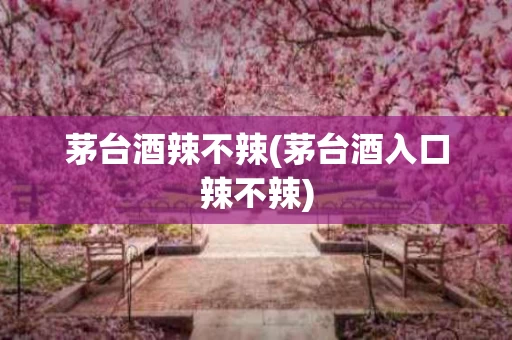 茅台酒辣不辣(茅台酒入口辣不辣)