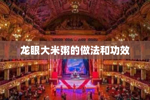 龙眼大米粥的做法和功效