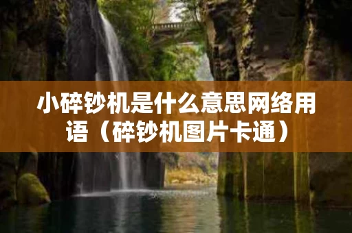 小碎钞机是什么意思网络用语（碎钞机图片卡通）