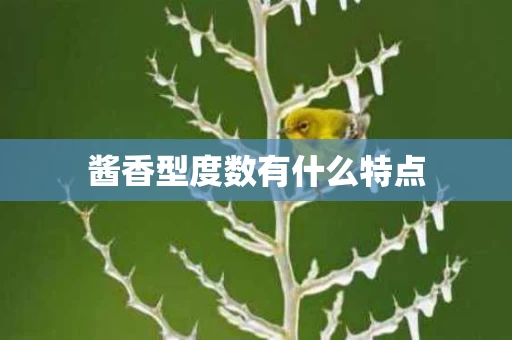 酱香型度数有什么特点