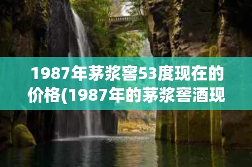 1987年茅浆窖53度现在的价格(1987年的茅浆窖酒现价多少了2018)