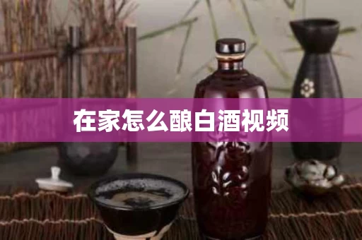 在家怎么酿白酒视频