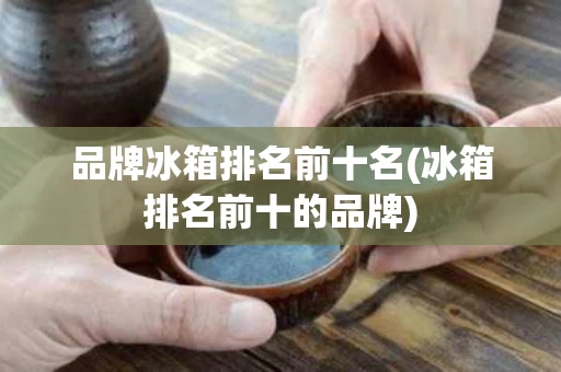 品牌冰箱排名前十名(冰箱排名前十的品牌)