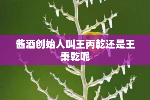 酱酒创始人叫王丙乾还是王秉乾呢