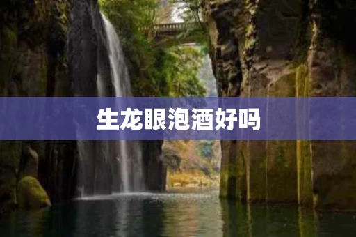 生龙眼泡酒好吗