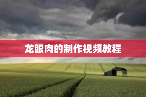 龙眼肉的制作视频教程