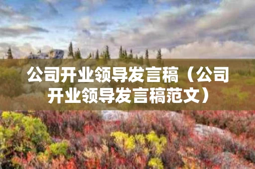 公司开业领导发言稿（公司开业领导发言稿范文）