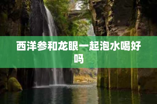 西洋参和龙眼一起泡水喝好吗