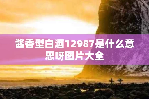 酱香型白酒12987是什么意思呀图片大全