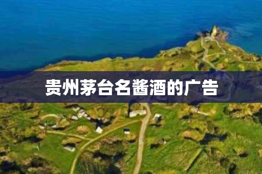 贵州茅台名酱酒的广告