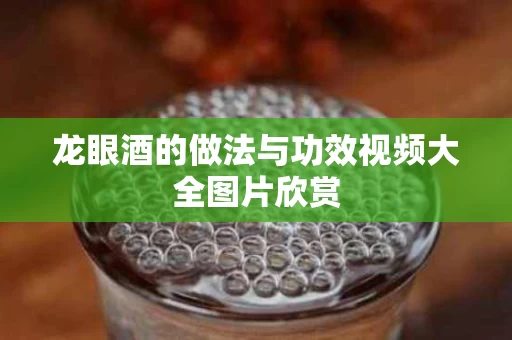 龙眼酒的做法与功效视频大全图片欣赏