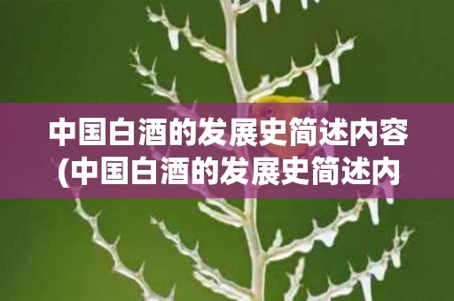 中国白酒的发展史简述内容(中国白酒的发展史简述内容是什么)
