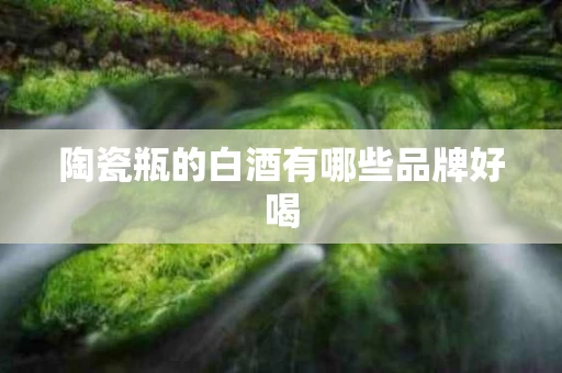 陶瓷瓶的白酒有哪些品牌好喝