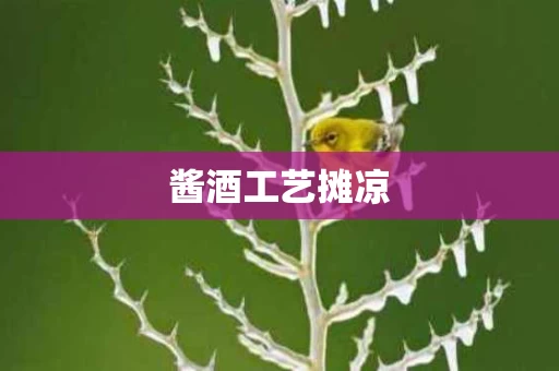 酱酒工艺摊凉