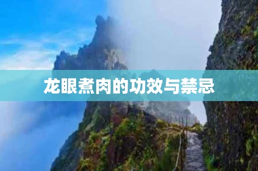 龙眼煮肉的功效与禁忌