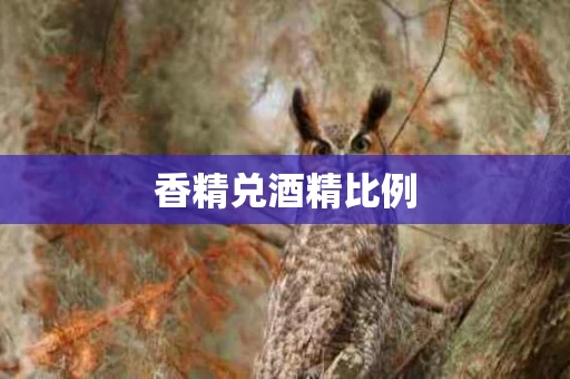香精兑酒精比例