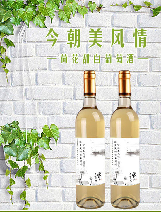 香槟知识知多少 ？