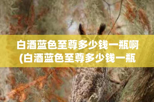 白酒蓝色至尊多少钱一瓶啊(白酒蓝色至尊多少钱一瓶啊图片)