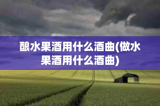 酿水果酒用什么酒曲(做水果酒用什么酒曲)