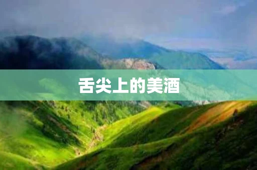 舌尖上的美酒