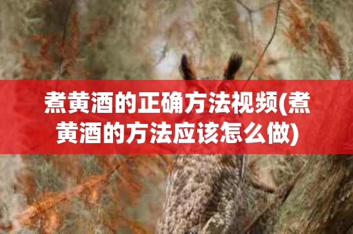 煮黄酒的正确方法视频(煮黄酒的方法应该怎么做)