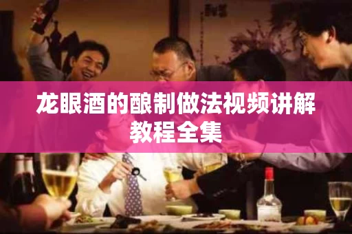 龙眼酒的酿制做法视频讲解教程全集