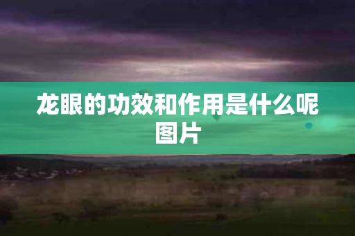 龙眼的功效和作用是什么呢图片 龙眼的功效和作用是什么呢图片