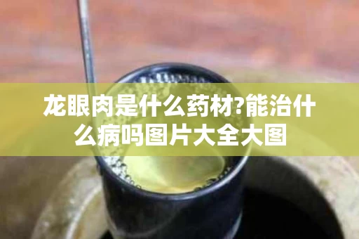 龙眼肉是什么药材?能治什么病吗图片大全大图