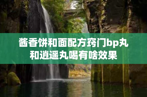 酱香饼和面配方窍门bp丸和逍遥丸喝有啥效果