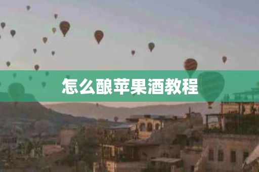 怎么酿苹果酒教程