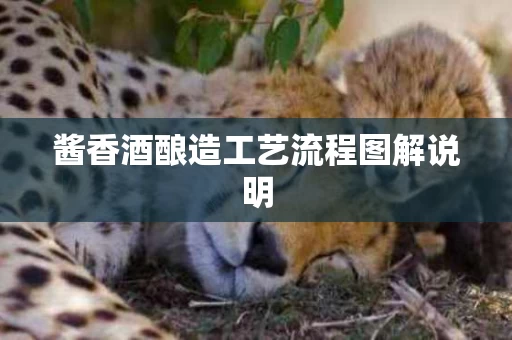 酱香酒酿造工艺流程图解说明