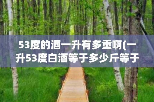 53度的酒一升有多重啊(一升53度白酒等于多少斤等于多少斤)
