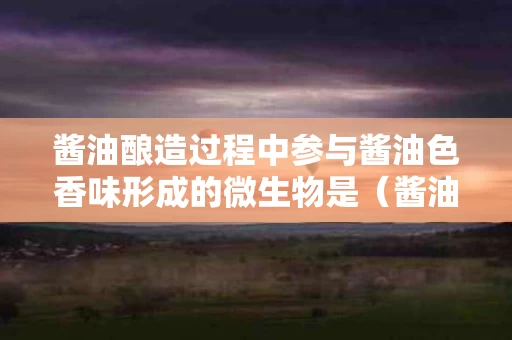 酱油酿造过程中参与酱油色香味形成的微生物是（酱油酿造过程中对风味形成有重要作用的微生物有）